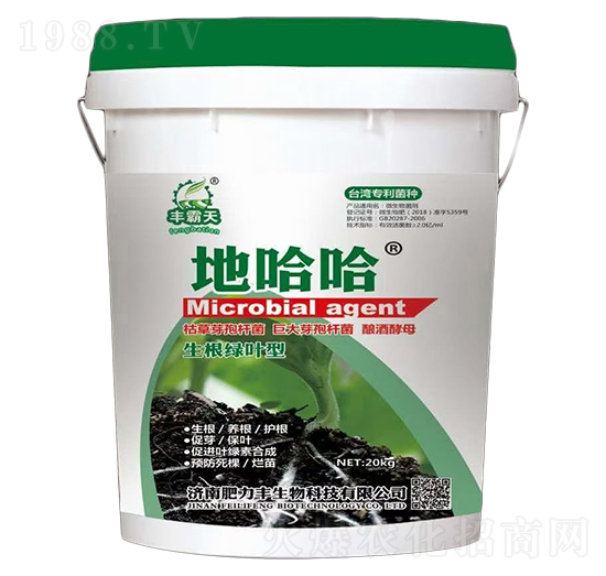 生根綠葉型微生物菌劑-地哈哈-肥力豐