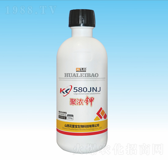 �۝��-���ٌ�����