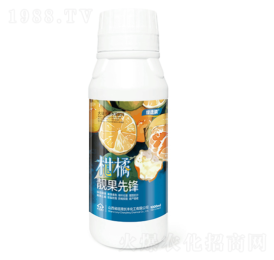 �����n�����h�G����-�L(zh��ng)�S����