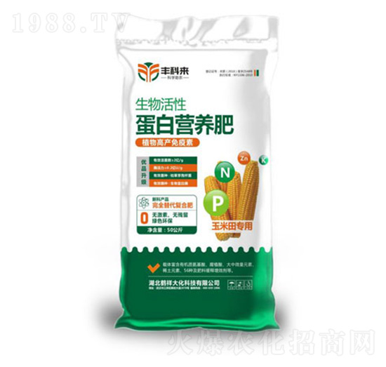 ������Ե��נI�B(y��ng)�ʣ�������ã�-�S�Ɓ�-������