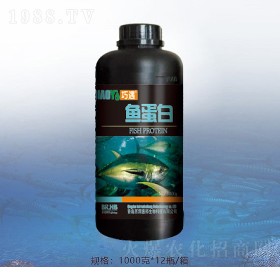 1000���~����-�ٝ�(r��n)�ݰ�