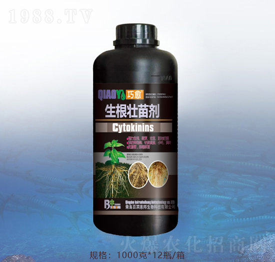 �������焩-�ٝ�(r��n)�ݰ�