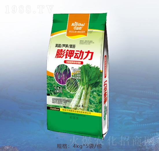 ��⛄���-�ٝ��ݰ�