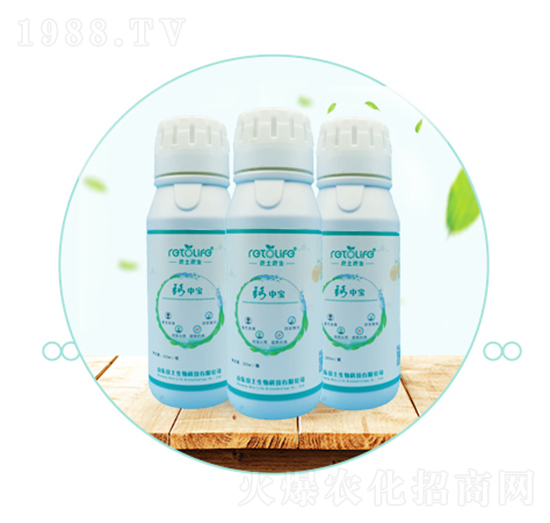 �}�Ќ�-��������