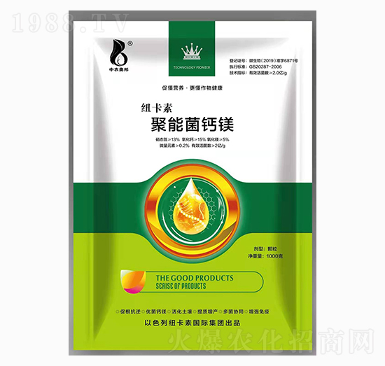 ���ܾ��}�V-�~����-���r(n��ng)�W��