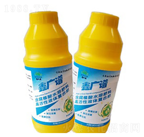 �ΏV�V-����Դ