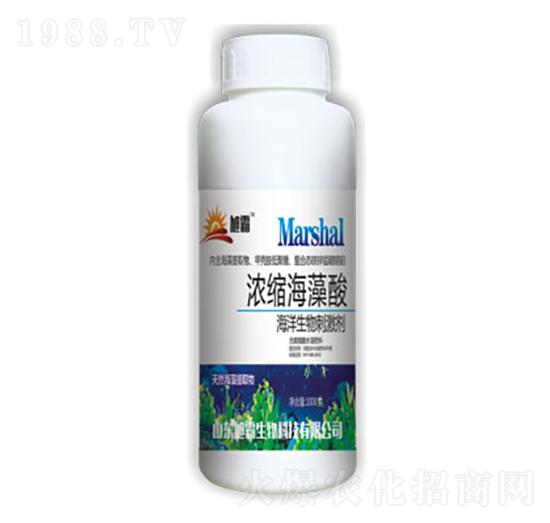 ��s������-�������