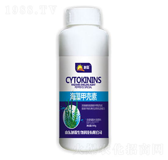 ����ך���-�������