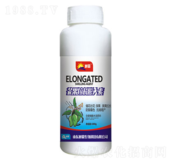 â�����L�����-�������