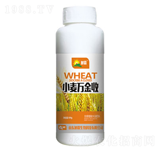 С���f����-�������