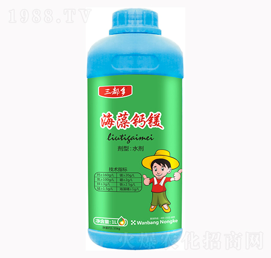 �����}�V-������-�f(w��n)���r(n��ng)��