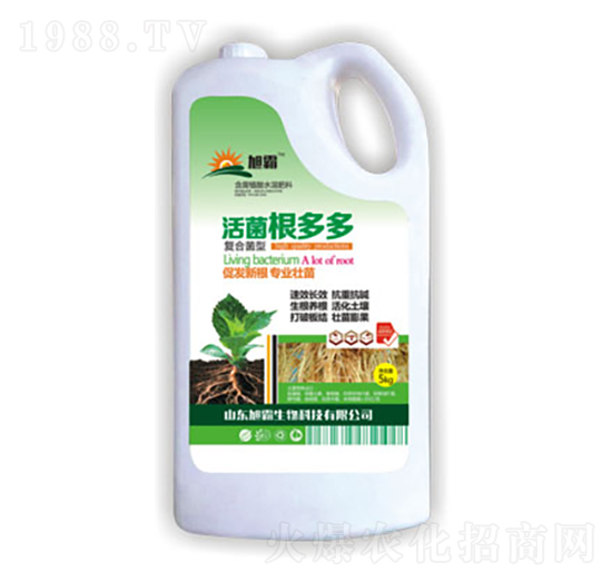 ��������-�������