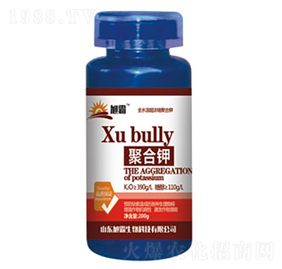 �ۺ��-�������