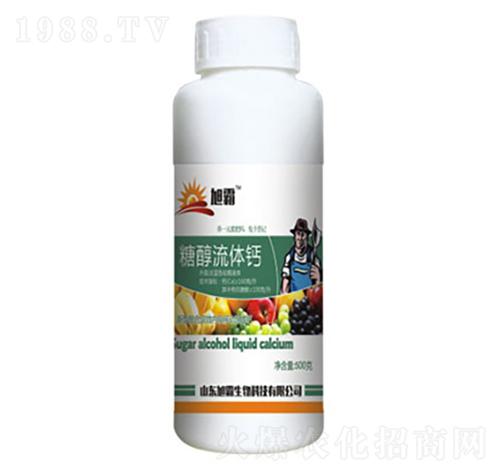 �Ǵ����w�}-�������