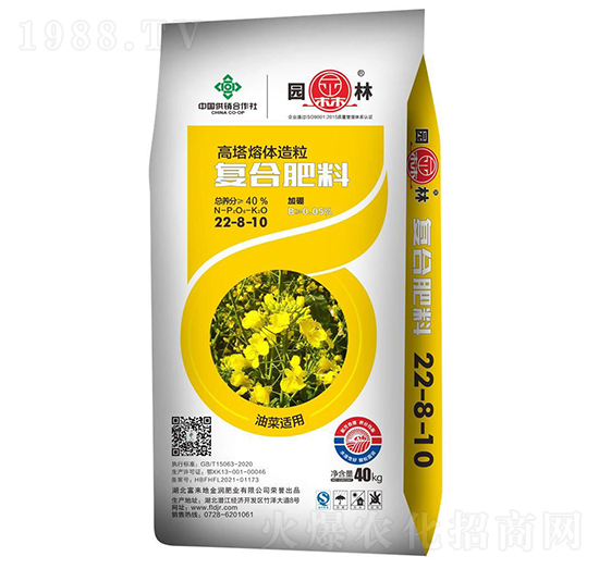 �Ͳ��m�Ï�(f��)�Ϸ���22-8-10-�@��-������