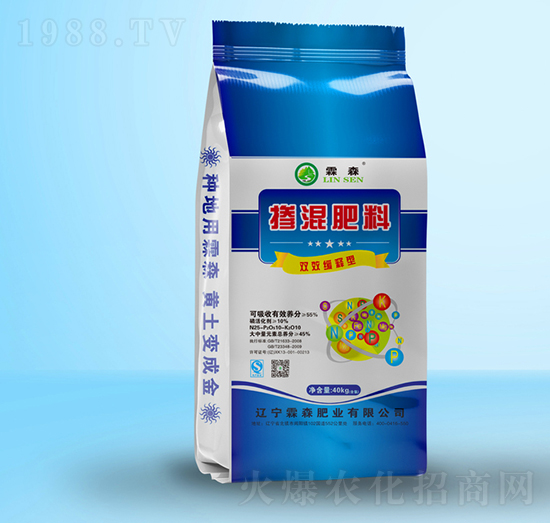 �������25-10-10-��ɭ