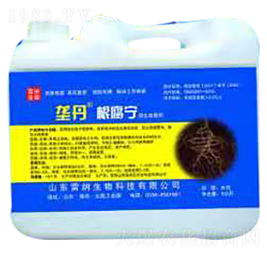 �ŵ�������-�׼{����