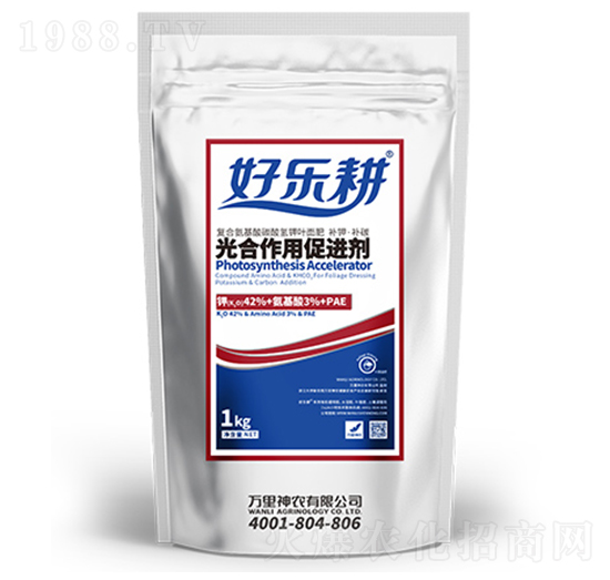 ������ô��M(j��n)�����~��ʣ�-�Ø���-�f(w��n)�����r(n��ng)