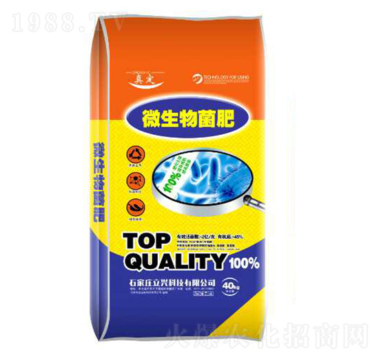 ΢�������-���d�ʘI(y��)