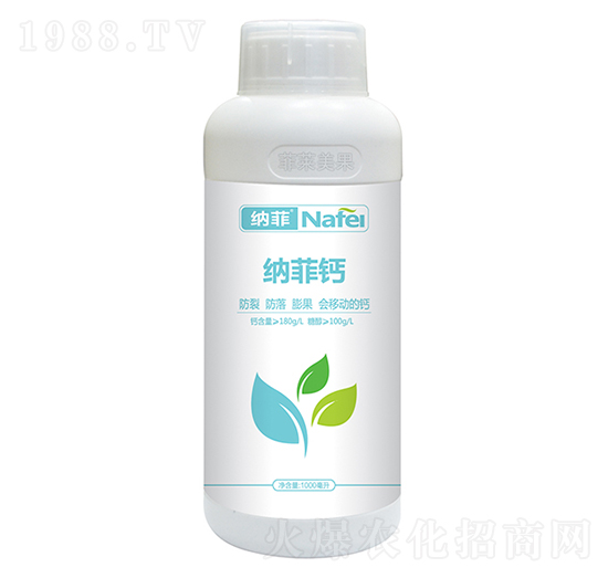 �{���}�~���-�ְ�ʘI(y��)