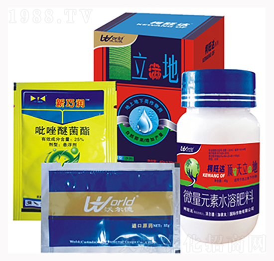 ���M��-�����_-�֠���