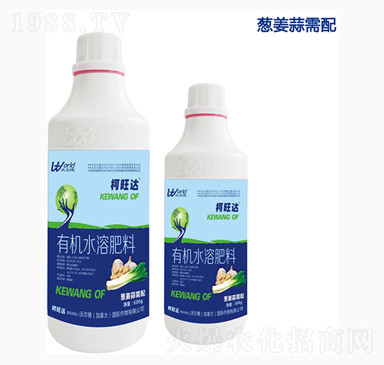 �[���⌣���~���-�����_(d��)-�֠���