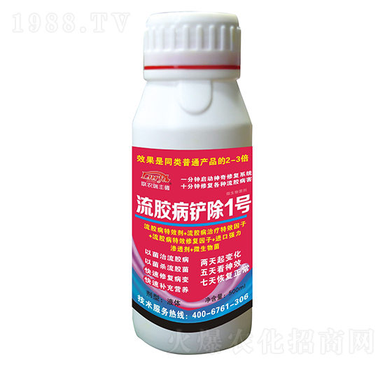 ΢�������-�M�����z���P��1̖-���S��