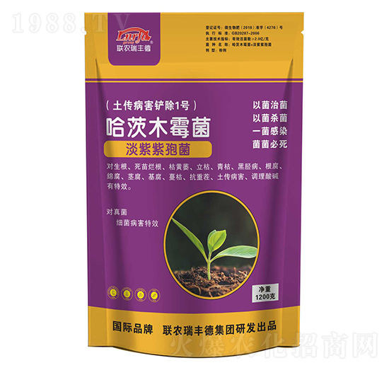 ����ľù��-���S��