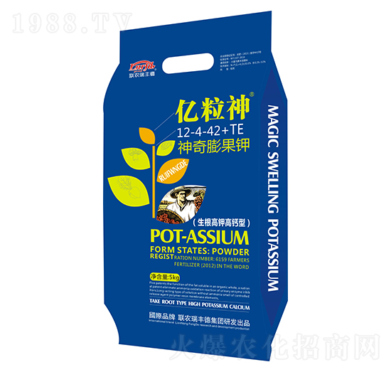 ��������12-4-42+TE-�|����-���S��