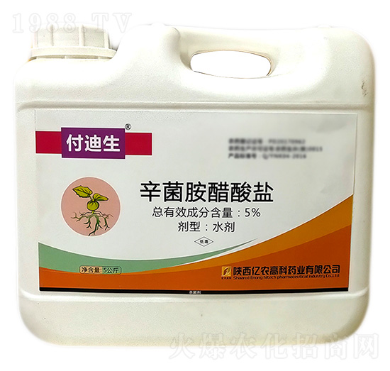 5kg�����������}-������-�|�r(n��ng)�߿�