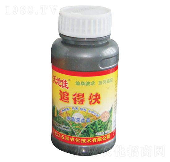 �ֵؼ�׷�ÿ�-�峣