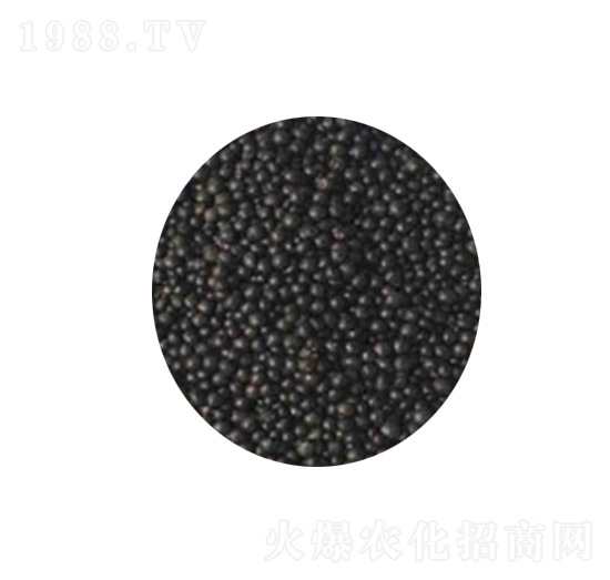 生物有機肥顆粒-興佳