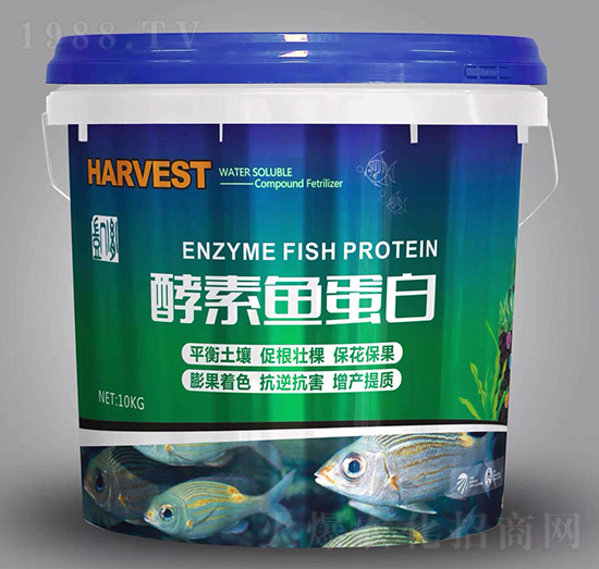 酵素魚(yú)蛋白-中鼎特金