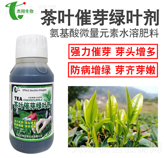 ���~��ѿ�G�~��-��������