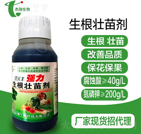 ��(qi��ng)���������焩-��������