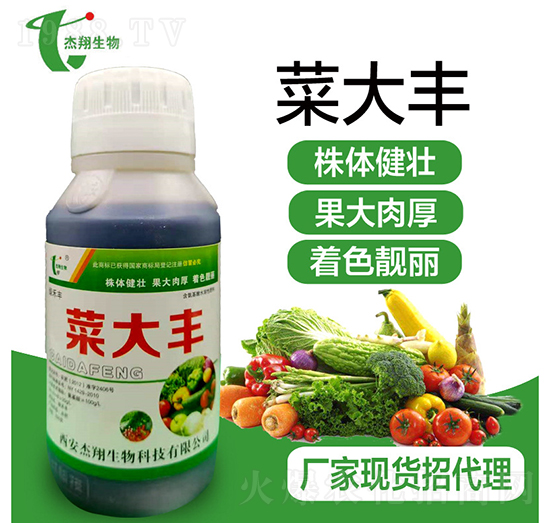 �˴��S-��������