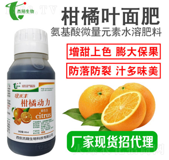 ���ل�����ɫ��-��������