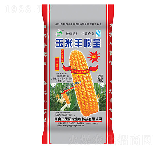 �����S�Ռ�-����ꖹ�