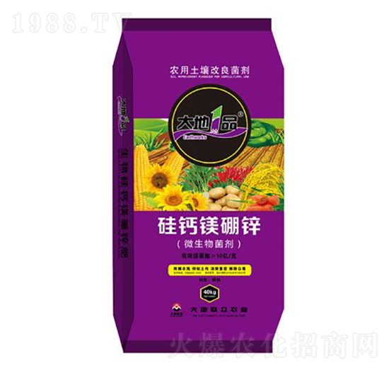 ���}�V���\΢�������-���ҼƷ-���(li��n)��