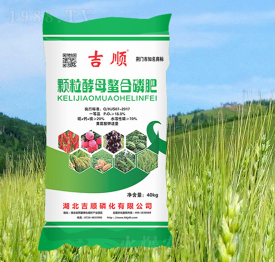 �w����ĸ�����׷�-���