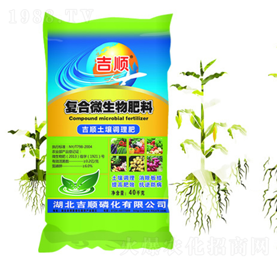 ��혏ͺ�΢�������-���