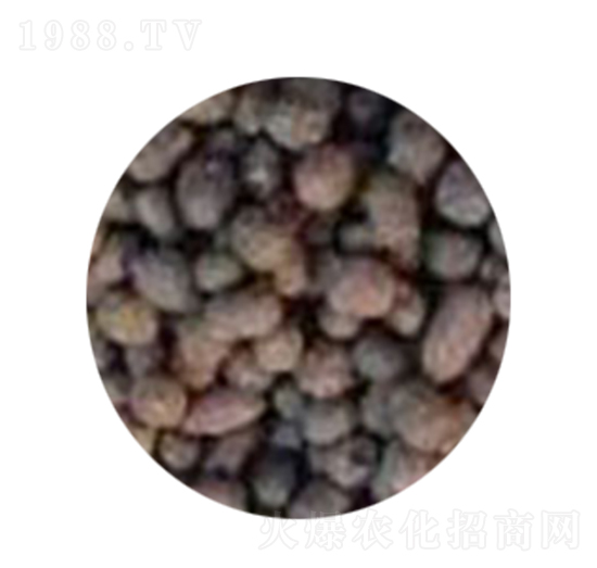 ��S�ЙC(j��)��-�������