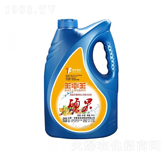 �T��-������-���S����