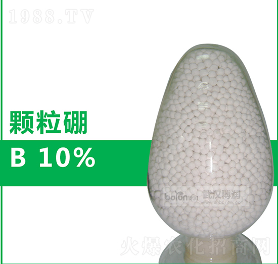 10%�w����-�����Ƽ�