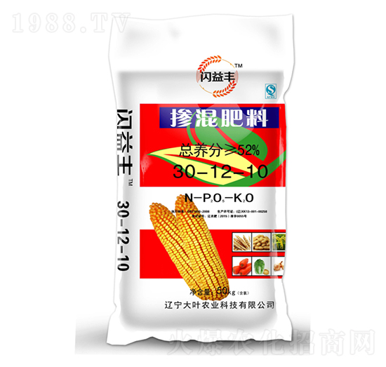 �������30-12-10-�W���S-���~�r�I(y��)