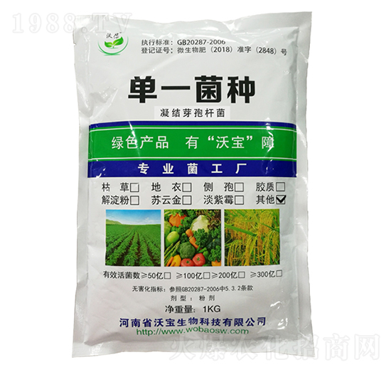 ���Y(ji��)ѿ�ߗU��-�֌�����