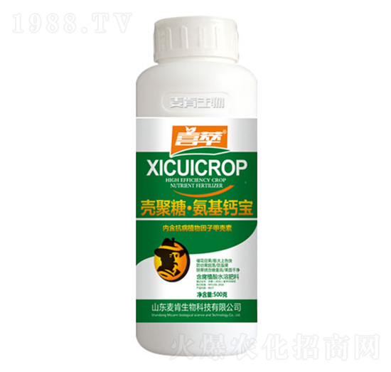 �����ǰ����}��-��������