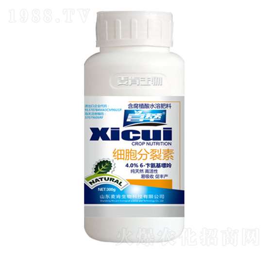 ����������-ϲ��-��������