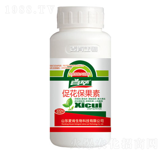 �ٻ��ٹ���-��������