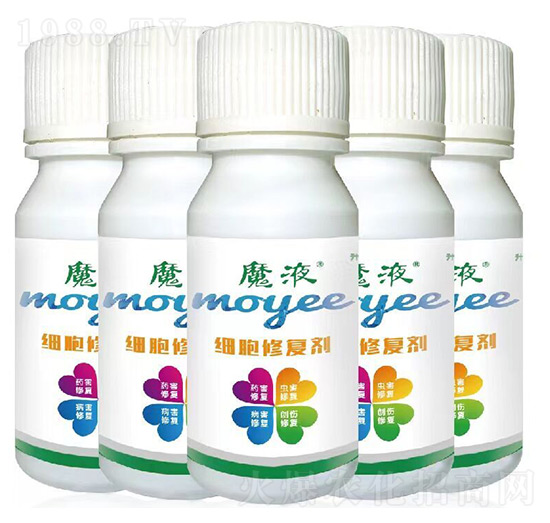 ħҺ�����ޏ̈́�-���a(ch��n)��